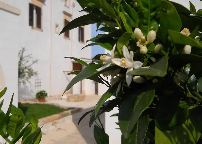 Masseria De Michele *