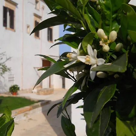 Masseria De Michele *